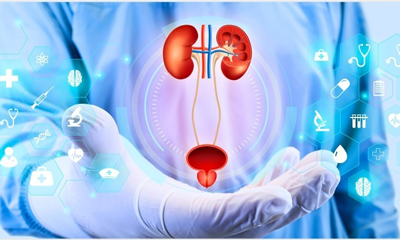 urologo 4